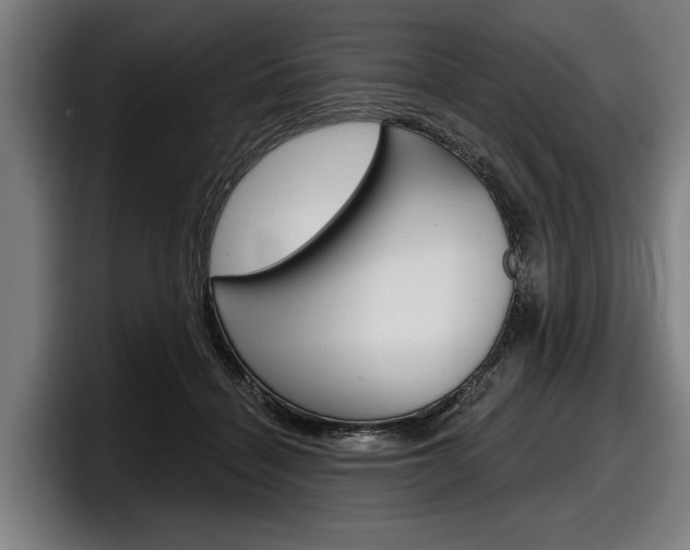 X0000098150460200804171200