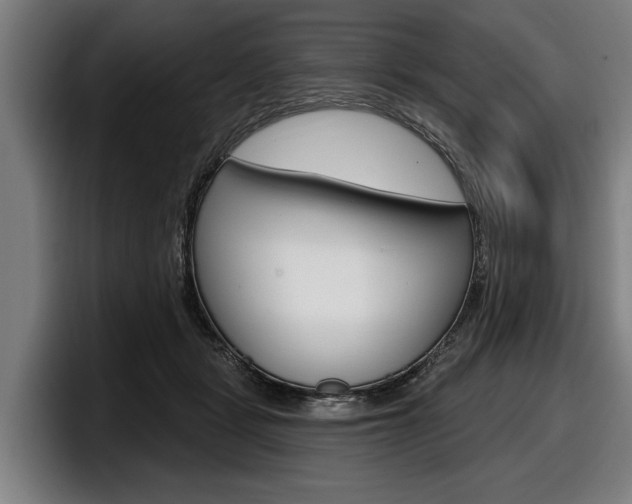 X0000098150461200804171200