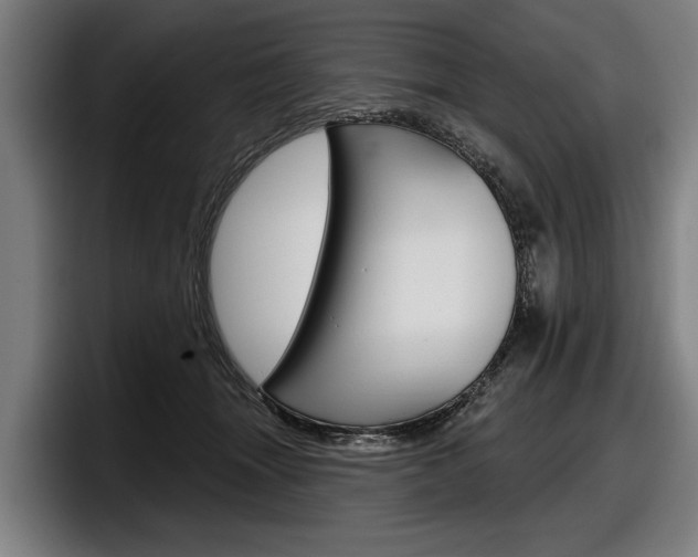 X0000098150463200804171200