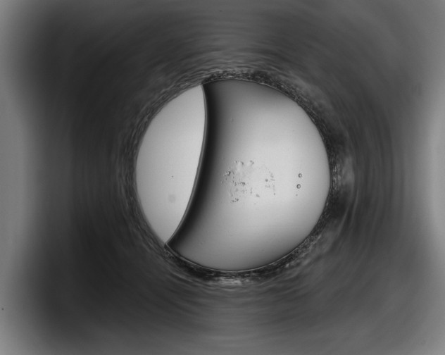 X0000098150464200804171200