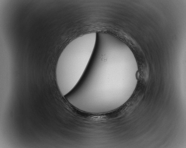 X0000098150465200804171200