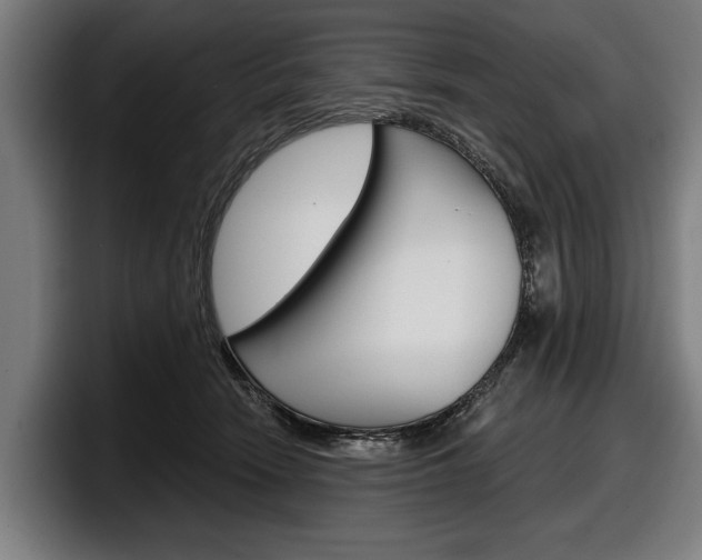 X0000098150466200804171200