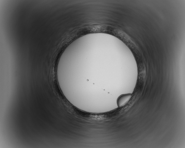 X0000098150469200804171200