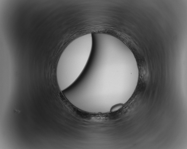 X0000098150470200804171200