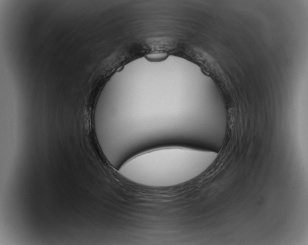 X0000098150471200804171200