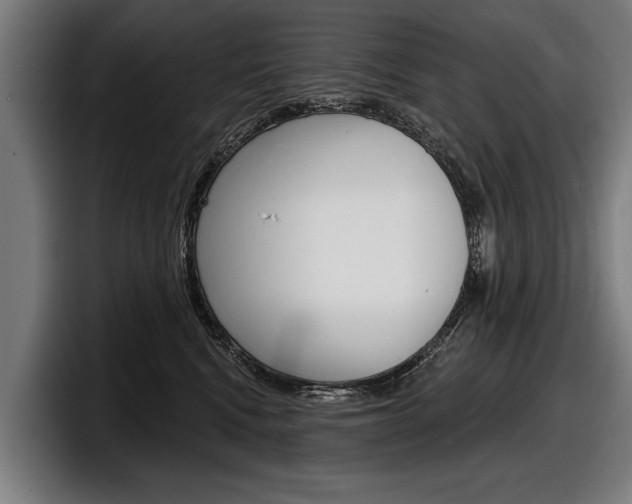 X0000098150472200804171200