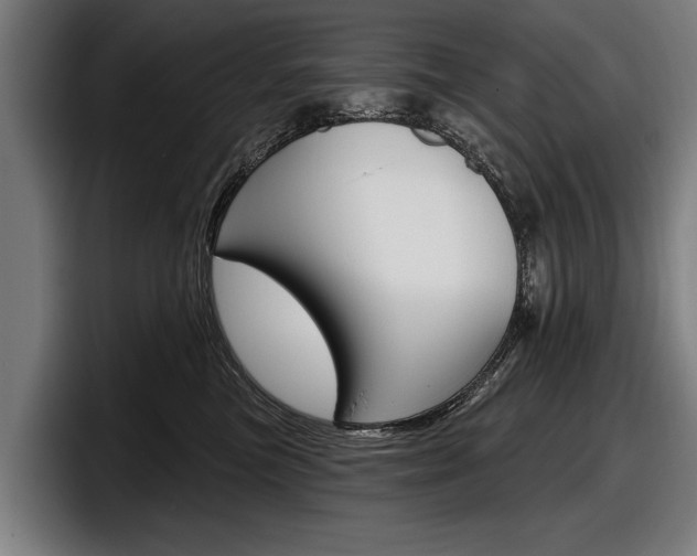 X0000098150473200804171200