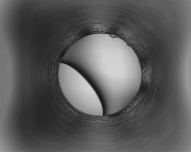 X0000098150474200804171200
