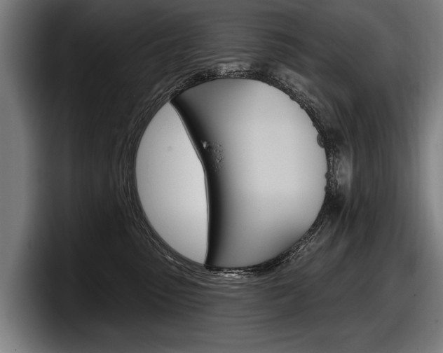 X0000098150475200804171200