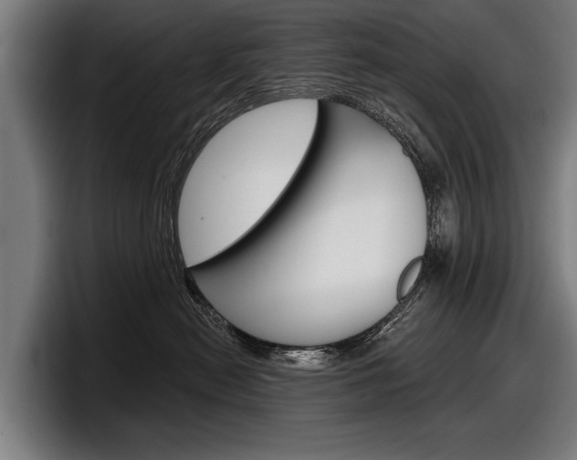X0000098150478200804171200