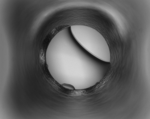 X0000098150479200804171200