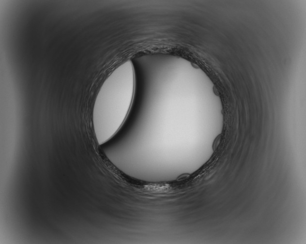 X0000098150480200804171200