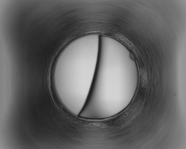 X0000098150482200804171200