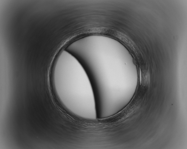 X0000098150483200804171200