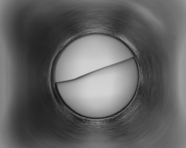 X0000098150486200804171200