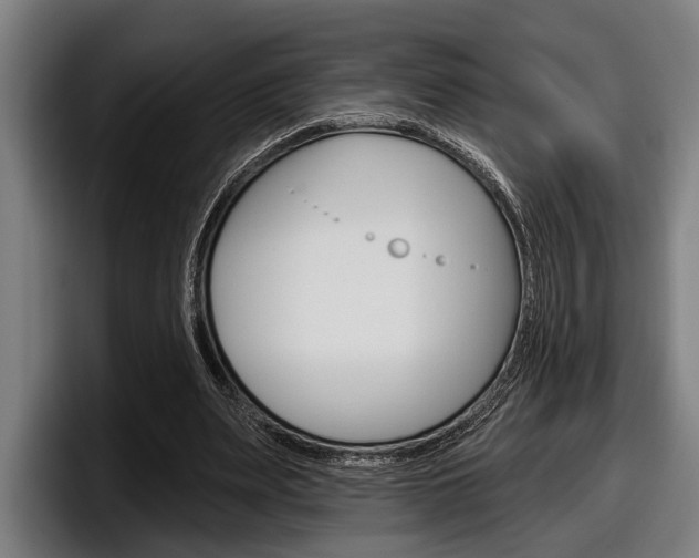 X0000098150487200804171200