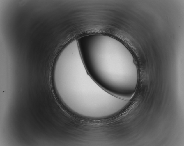 X0000098150489200804171159