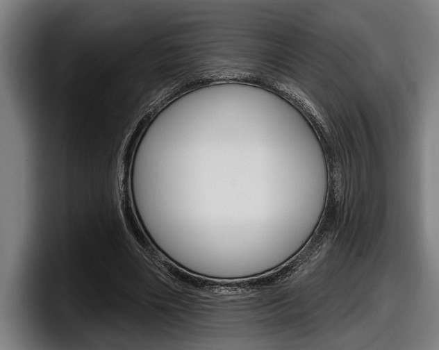 X0000098150490200804171159