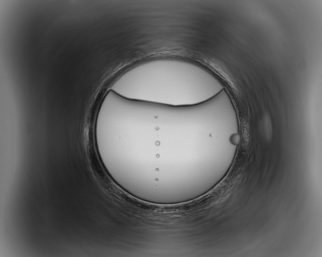 X0000098150491200804171159