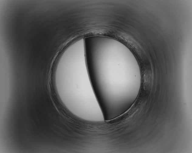 X0000098150492200804171159