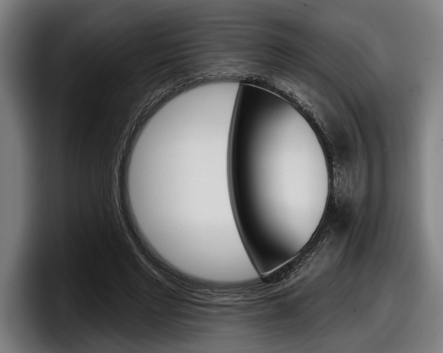 X0000098150493200804171159