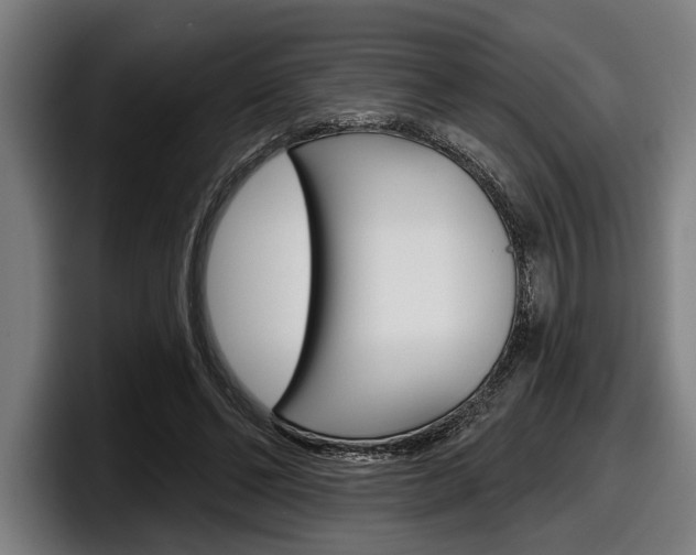 X0000098150494200804171159