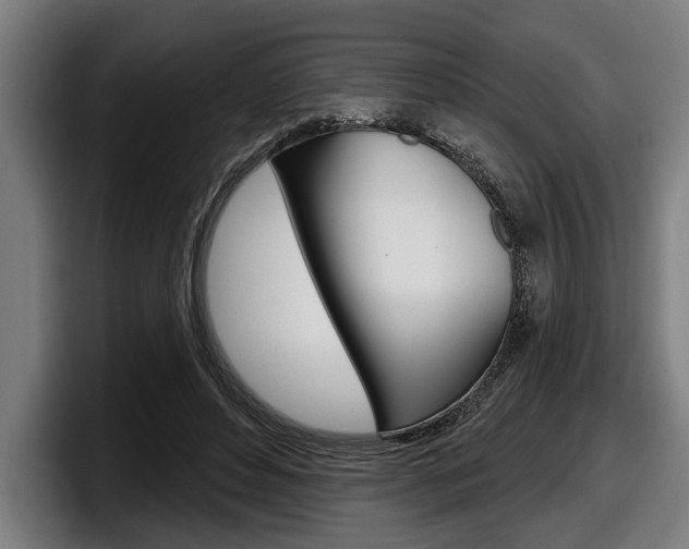 X0000098150496200804171159