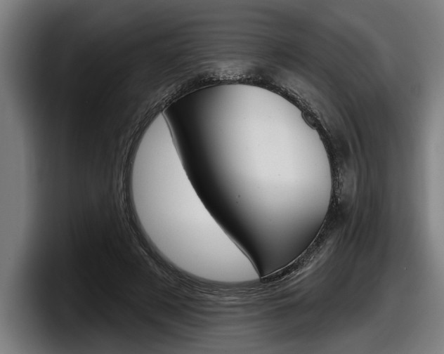 X0000098150497200804171159