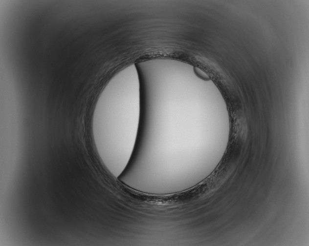 X0000098150498200804171159