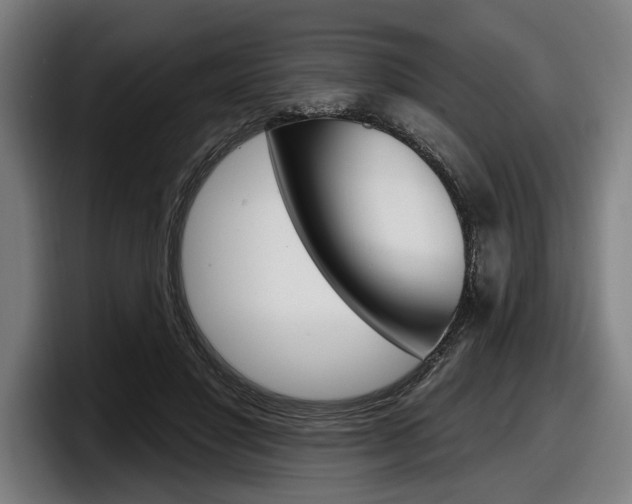 X0000098150501200804171159