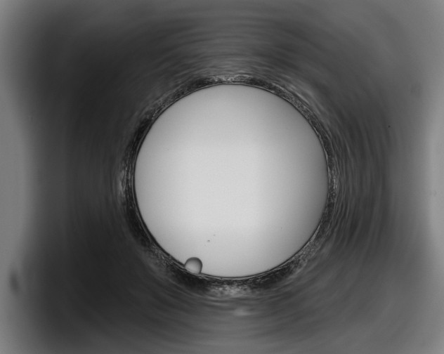 X0000098150503200804171159