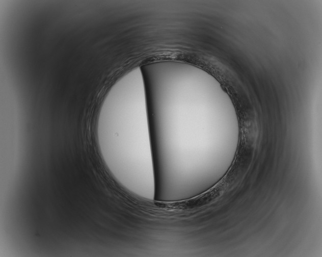 X0000098150504200804171159