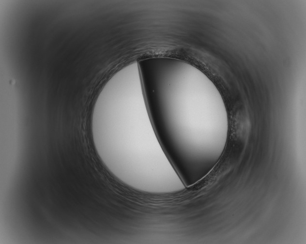 X0000098150505200804171159