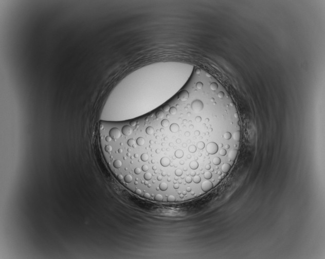 X0000098150507200804171159