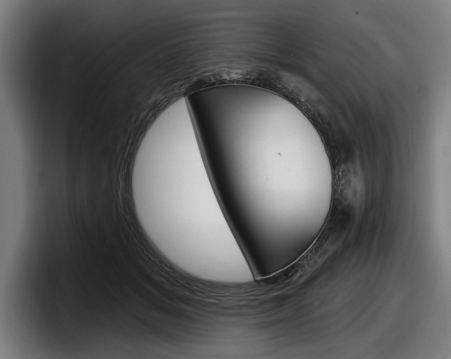 X0000098150509200804171159
