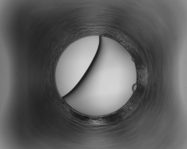 X0000098150510200804171159