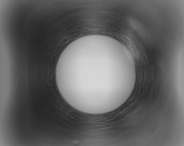 X0000098150511200804171159