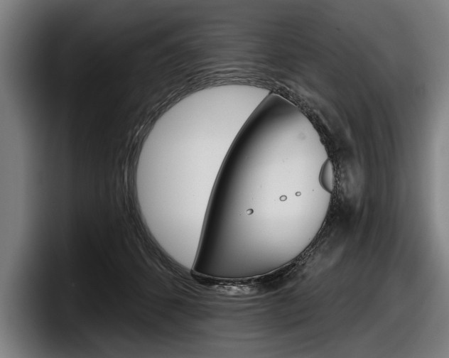 X0000098150512200804171159