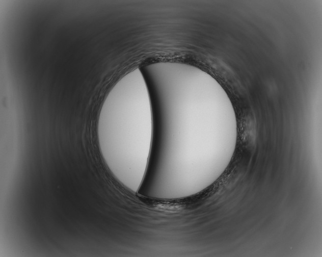 X0000098150515200804171159