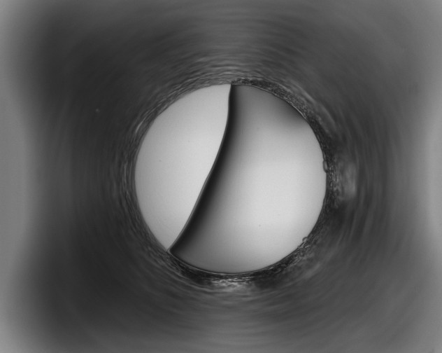 X0000098150516200804171159