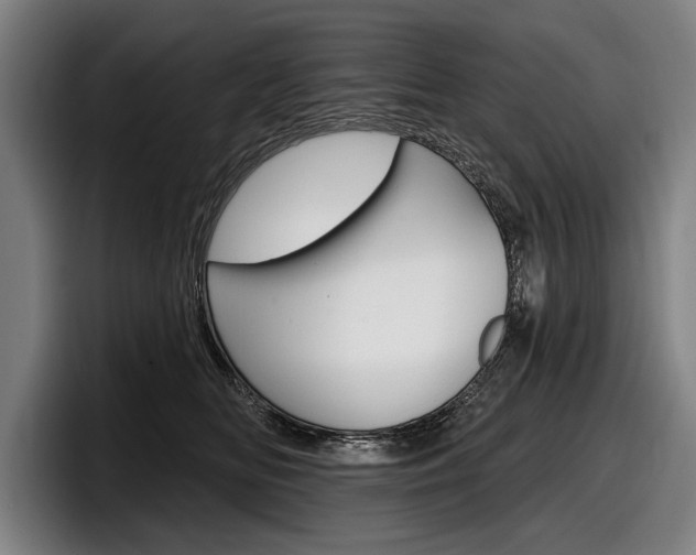 X0000098150518200804171159