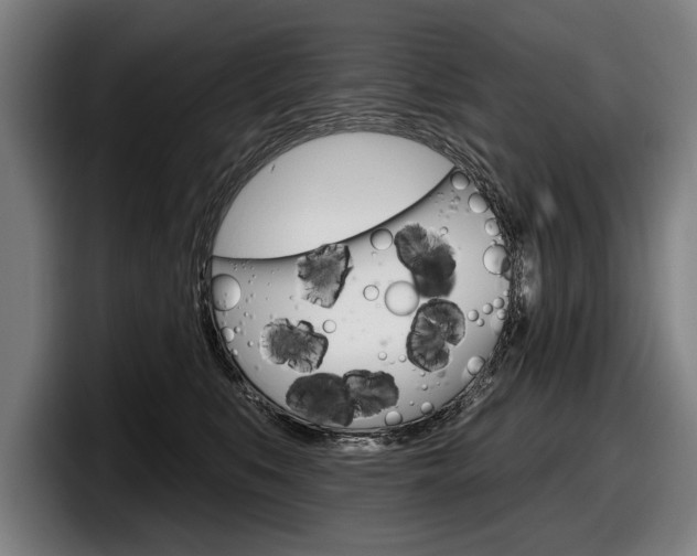 X0000098150519200804171159
