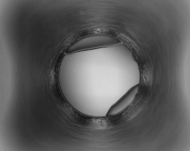 X0000098150520200804171159