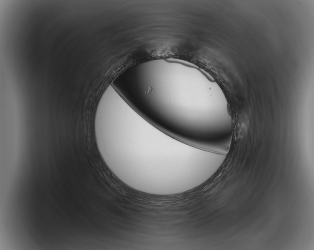 X0000098150521200804171159