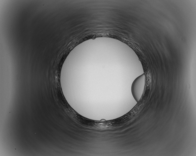 X0000098150522200804171159