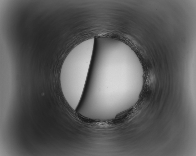 X0000098150524200804171159