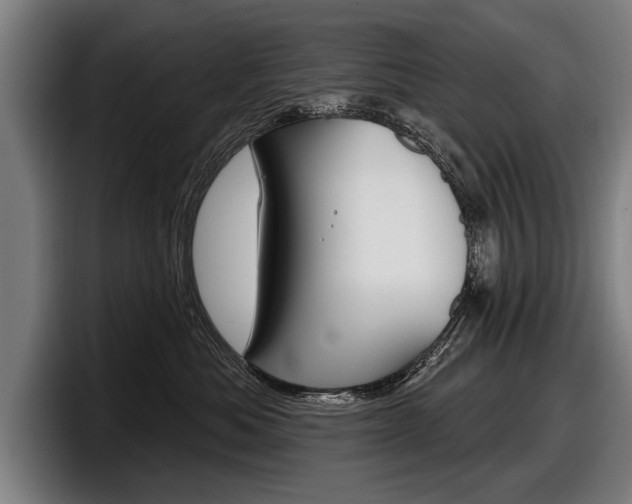 X0000098150525200804171159