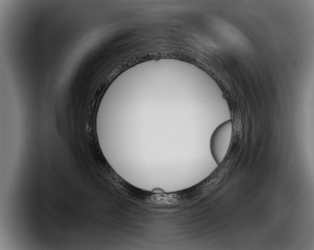 X0000098150526200804171159