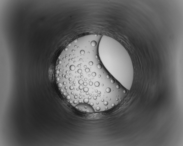 X0000098150527200804171159