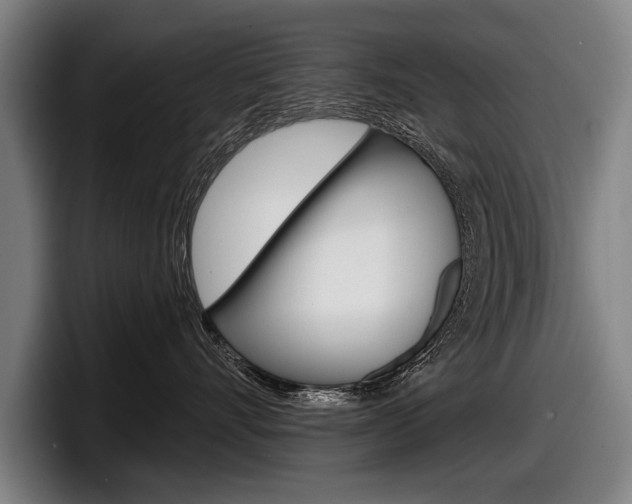 X0000098150528200804171159